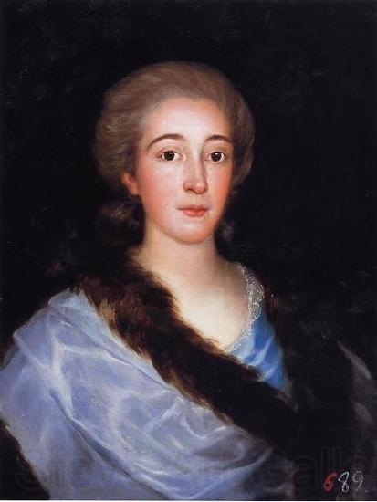 Francisco de Goya Portrait of Dona Maria Teresa de Vallabriga y Rozas Norge oil painting art